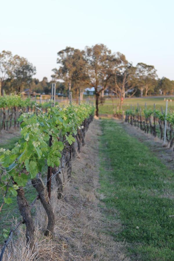 Blueberry Hill Vineyard Stay 罗斯伯里 外观 照片