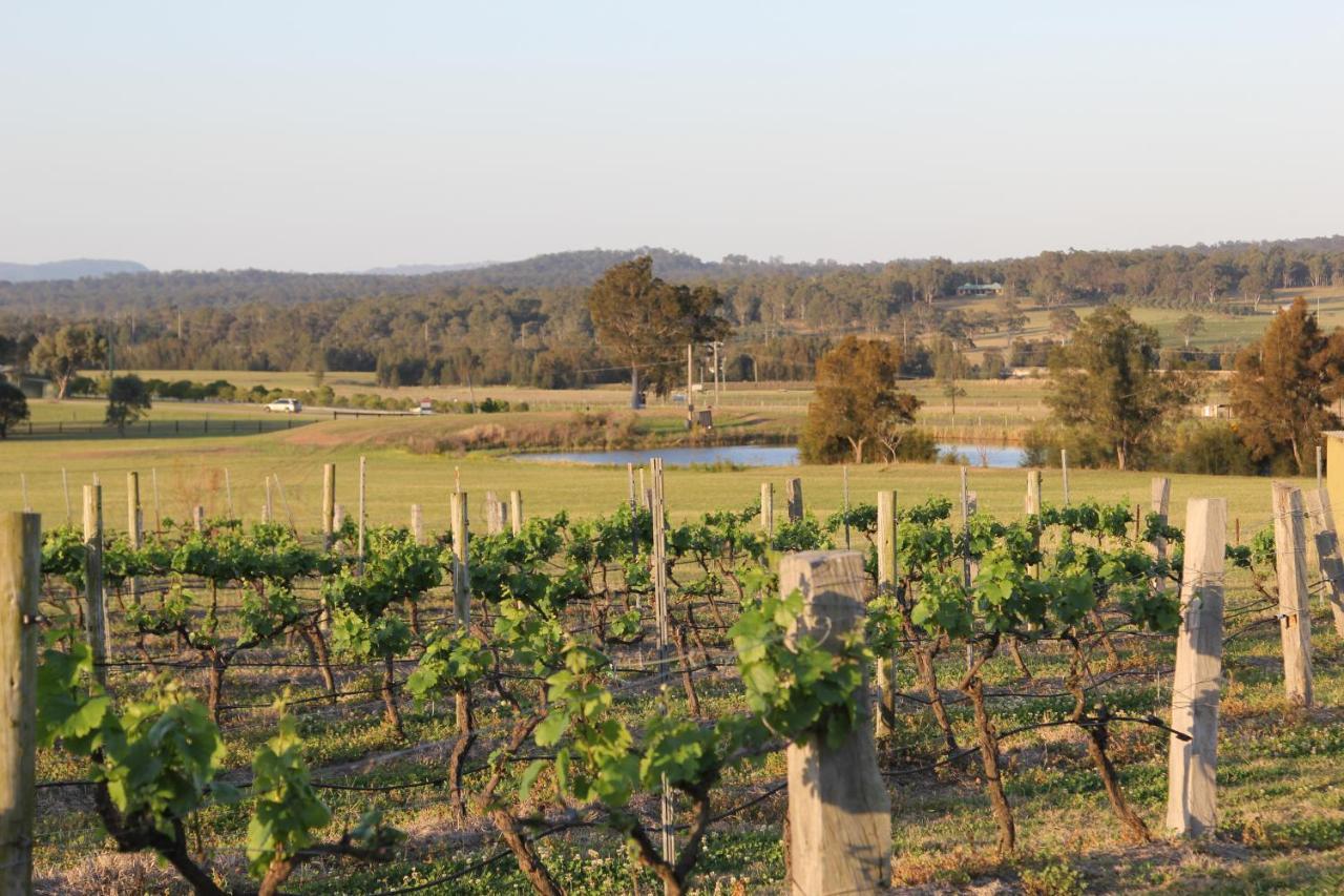 Blueberry Hill Vineyard Stay 罗斯伯里 外观 照片