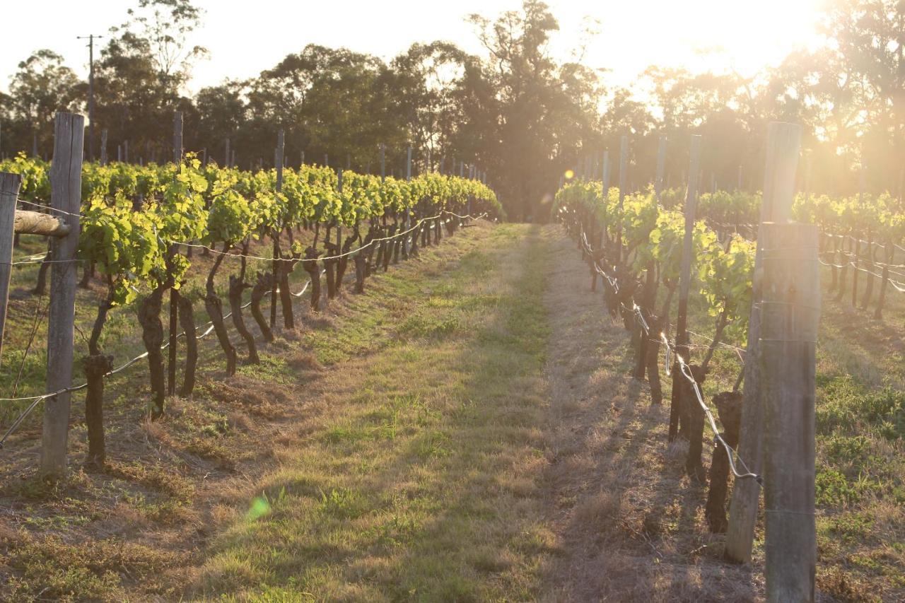 Blueberry Hill Vineyard Stay 罗斯伯里 外观 照片