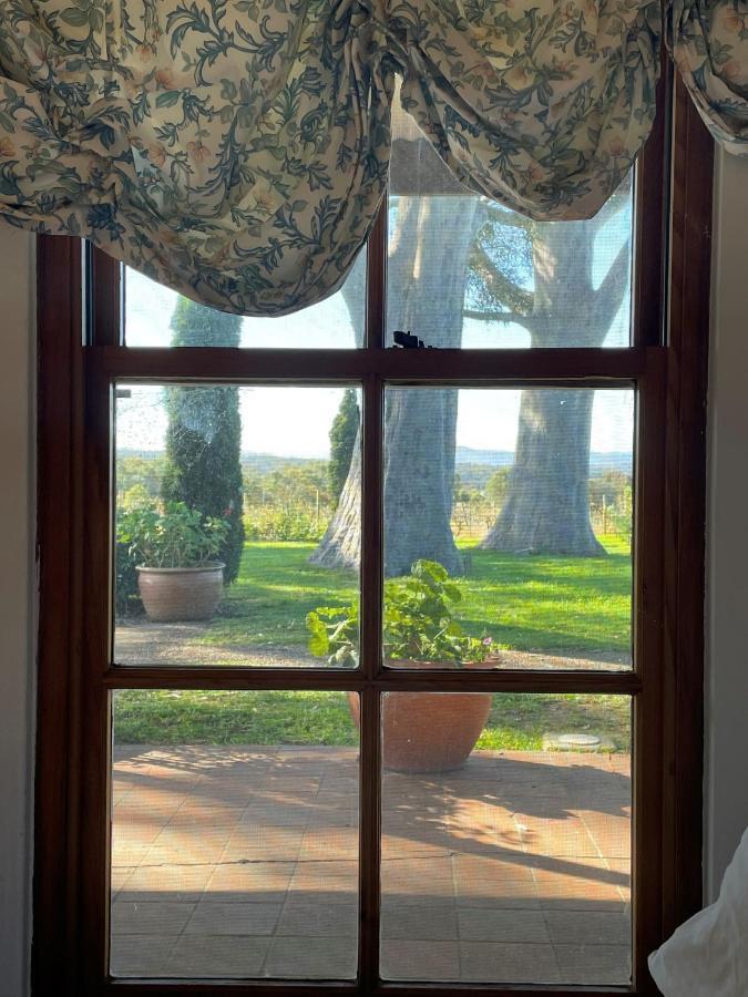 Blueberry Hill Vineyard Stay 罗斯伯里 外观 照片