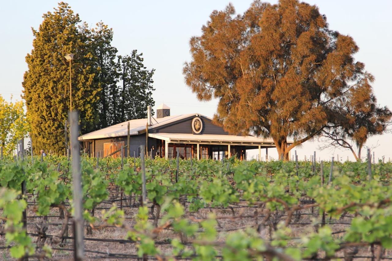 Blueberry Hill Vineyard Stay 罗斯伯里 外观 照片