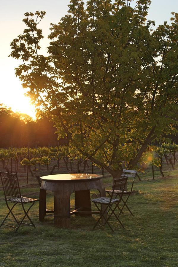 Blueberry Hill Vineyard Stay 罗斯伯里 外观 照片
