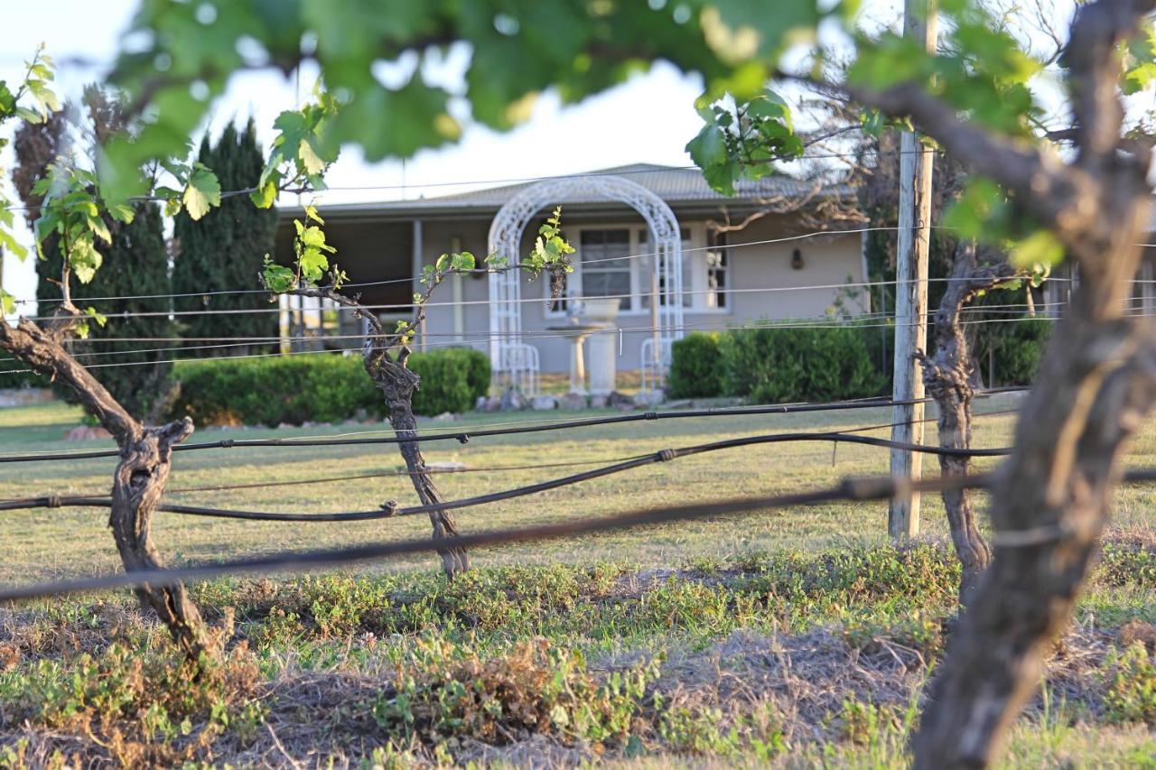 Blueberry Hill Vineyard Stay 罗斯伯里 外观 照片