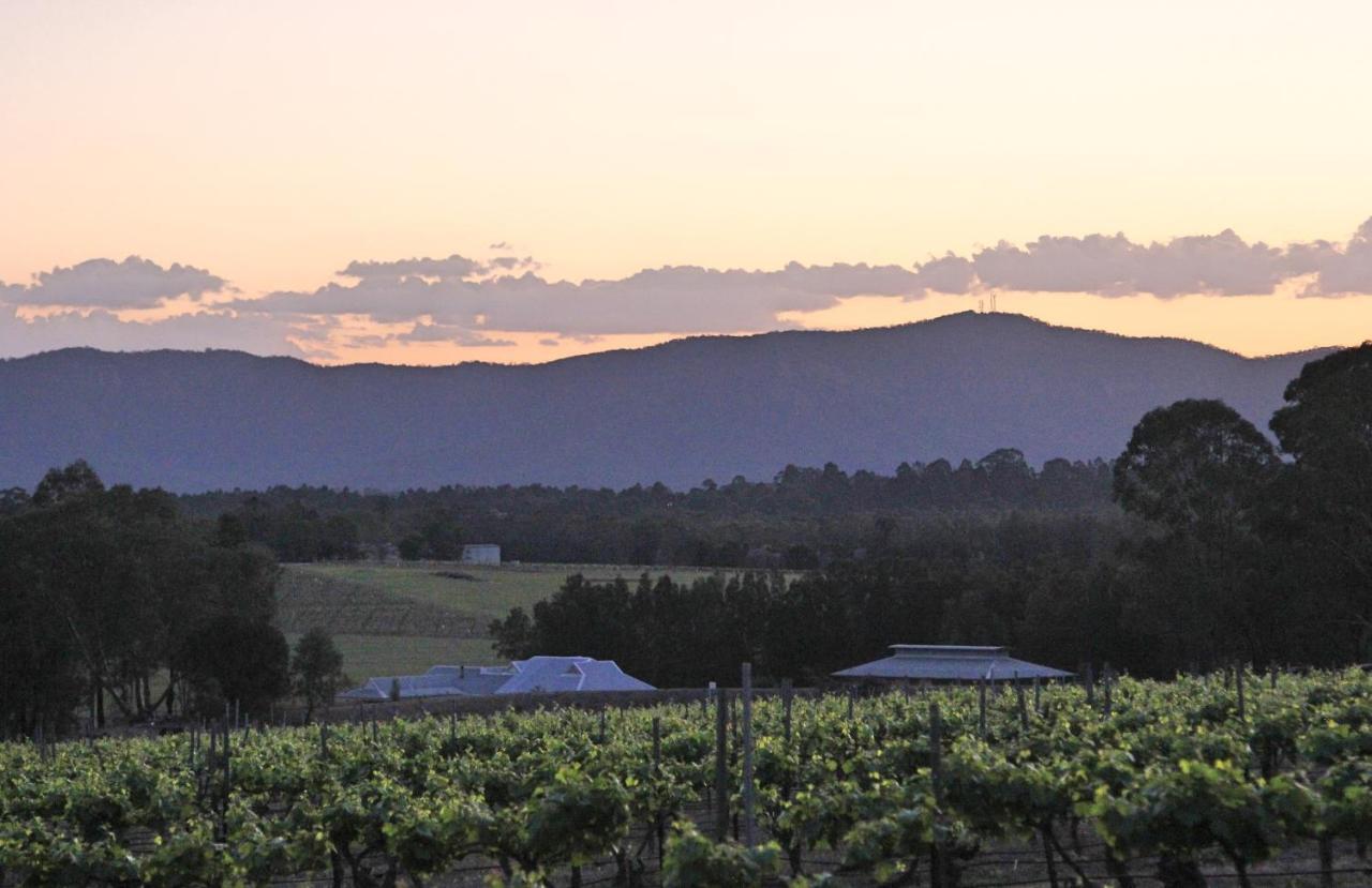 Blueberry Hill Vineyard Stay 罗斯伯里 外观 照片