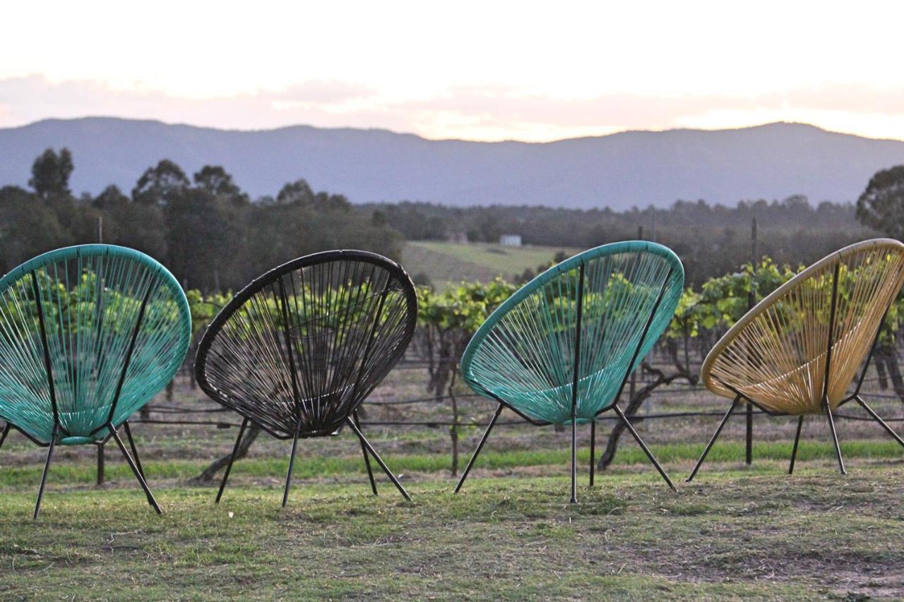 Blueberry Hill Vineyard Stay 罗斯伯里 外观 照片